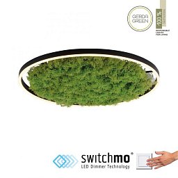 Obrázek pro produkt GREEN RITUS LED stropní svítidlo 60x60 islandský mech Moos Switchmo 3 krokové stmívání 3000K akustické - LEUCHTEN DIREKT / JUST LIGHT