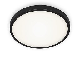 Obrázek pro produkt LED stropní svítidlo, pr. 29 cm, 12 W, černá - BRILO