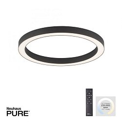 Obrázek pro produkt Paul Neuhaus LED stropní svítidlo PURE Lines 50cm stmívatelné CCT 2700-5000K antracit - PAUL NEUHAUS