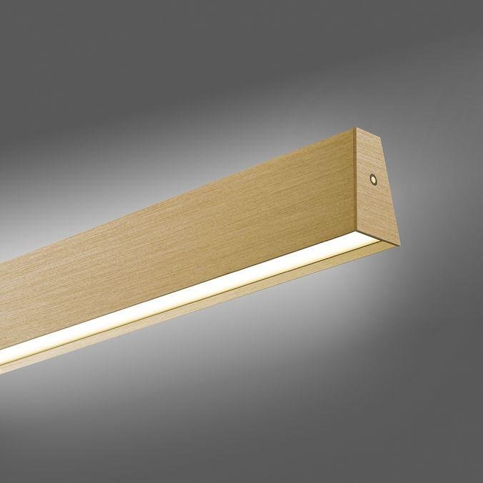 PN 2570-60 Paul Neuhaus LED závěsné svítidlo PURE-E-MOTION elektricky nastavitelná výška 2700-5000K zlatá imperial - PAUL NEUHAUS (obrázek 4)