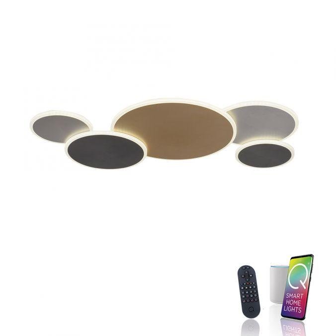 Levně PN 8008-70 Paul Neuhaus LED nástěnné svítidlo Q-PIATO vícebarevné 5 ramenné kruhové Smart Home ZigBee 2700-5000K - PAUL NEUHAUS