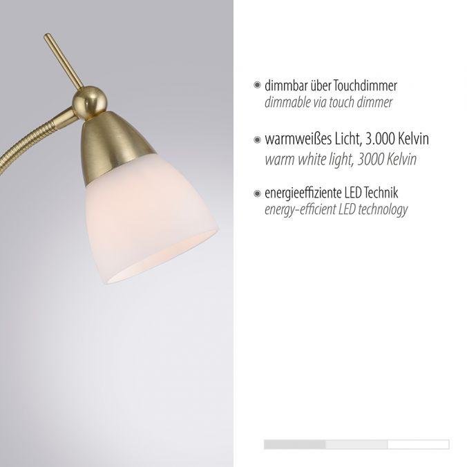 PN 400-60 PINO LED stojací svítidlo matná mosaz opálové sklo 3 krokové dotykový stmívač nastavitelné 3000K - PAUL NEUHAUS (obrázek 3)