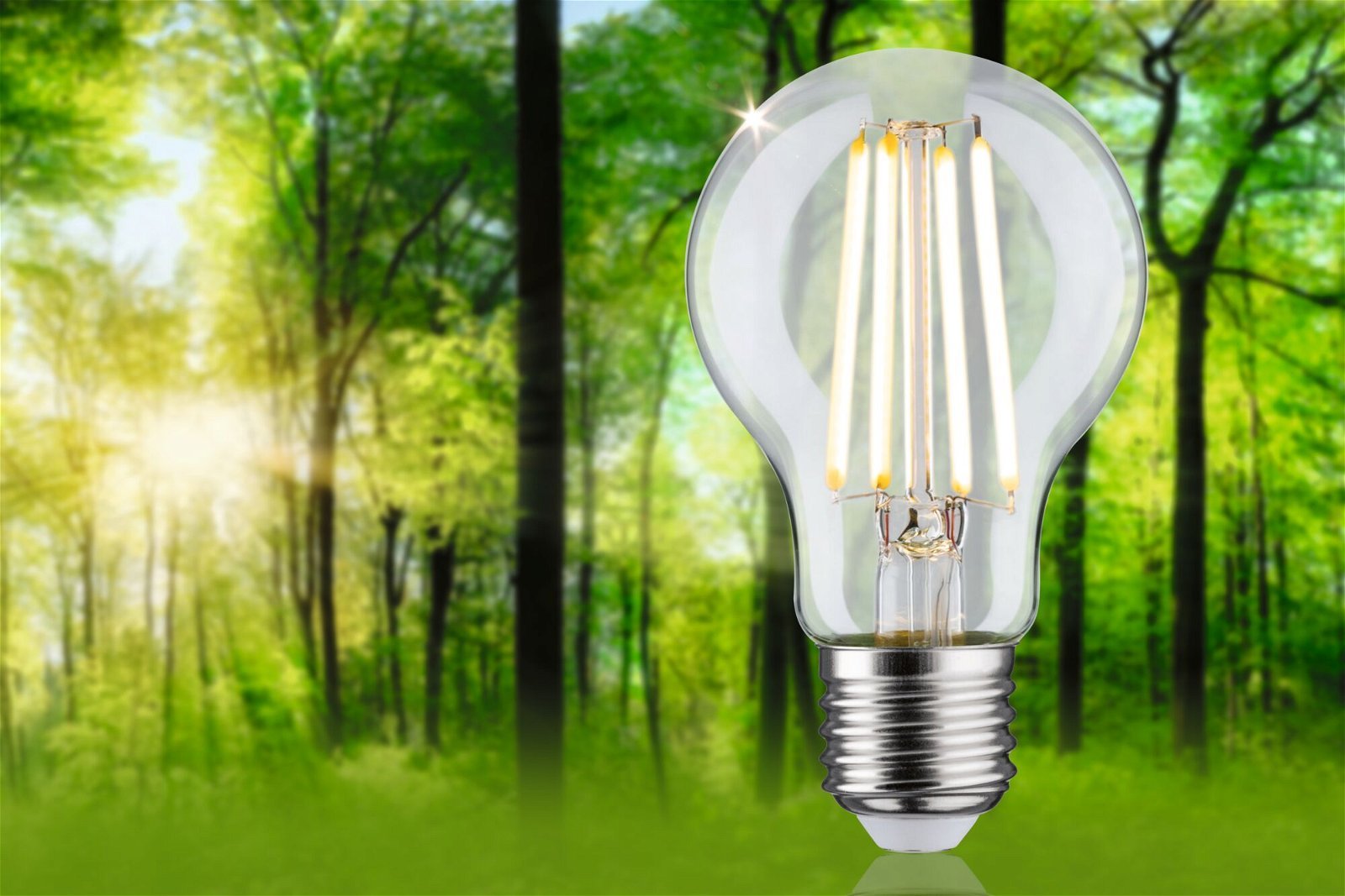 P 29120 Eco-Line Filament 230V LED žárovka E27 1ks-sada 2,5W 3000K čirá - PAULMANN (obrázek 2)