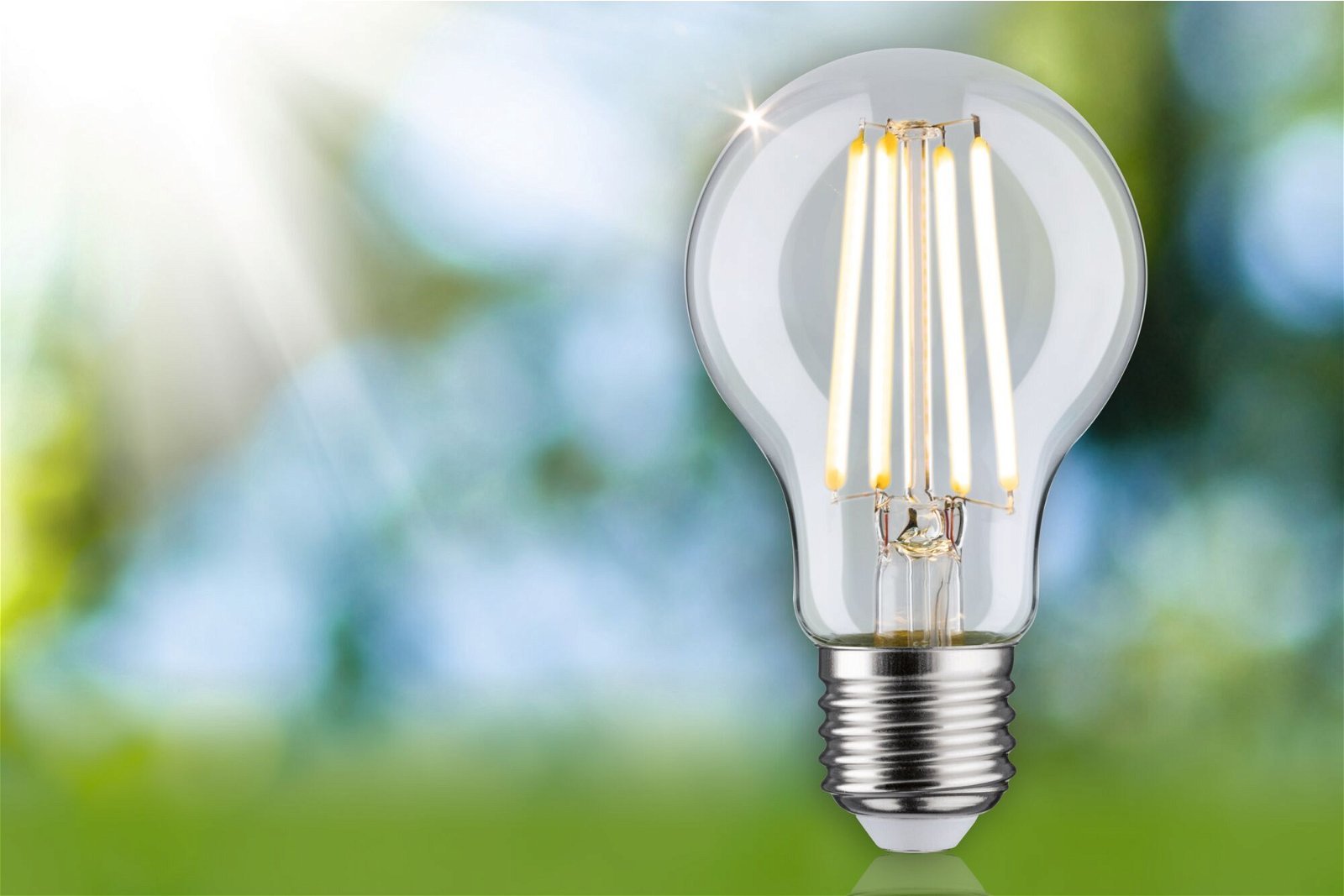P 29120 Eco-Line Filament 230V LED žárovka E27 1ks-sada 2,5W 3000K čirá - PAULMANN (obrázek 3)