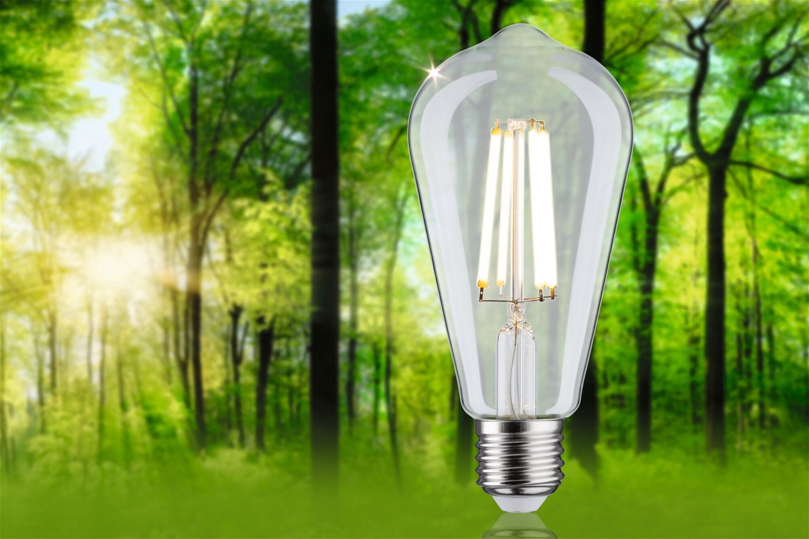 P 29122 Eco-Line Filament 230V LED žárovka ST64 E27 4W 3000K čirá - PAULMANN (obrázek 2)