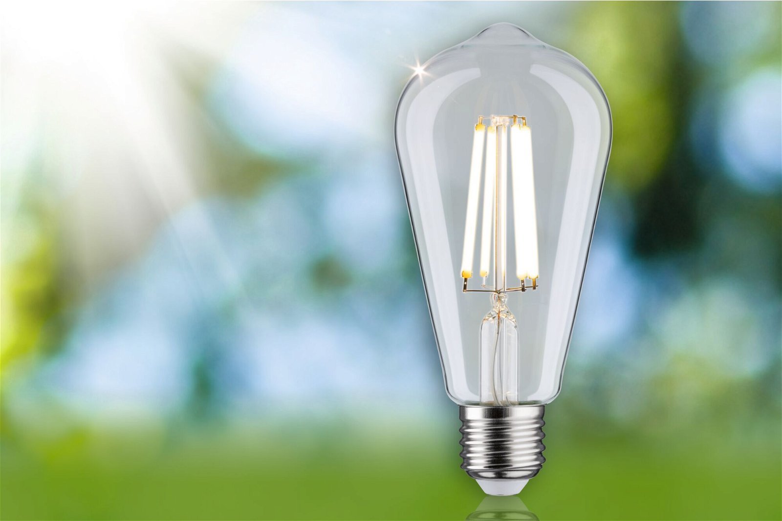 P 29122 Eco-Line Filament 230V LED žárovka ST64 E27 4W 3000K čirá - PAULMANN (obrázek 3)