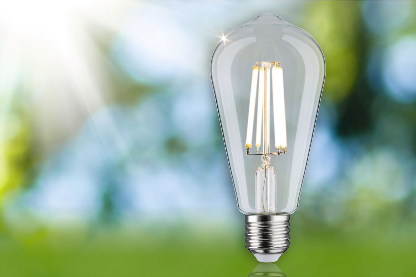 P 29126 Eco-Line Filament 230V LED žárovka ST64 E27 4W 4000K čirá - PAULMANN (obrázek 3)