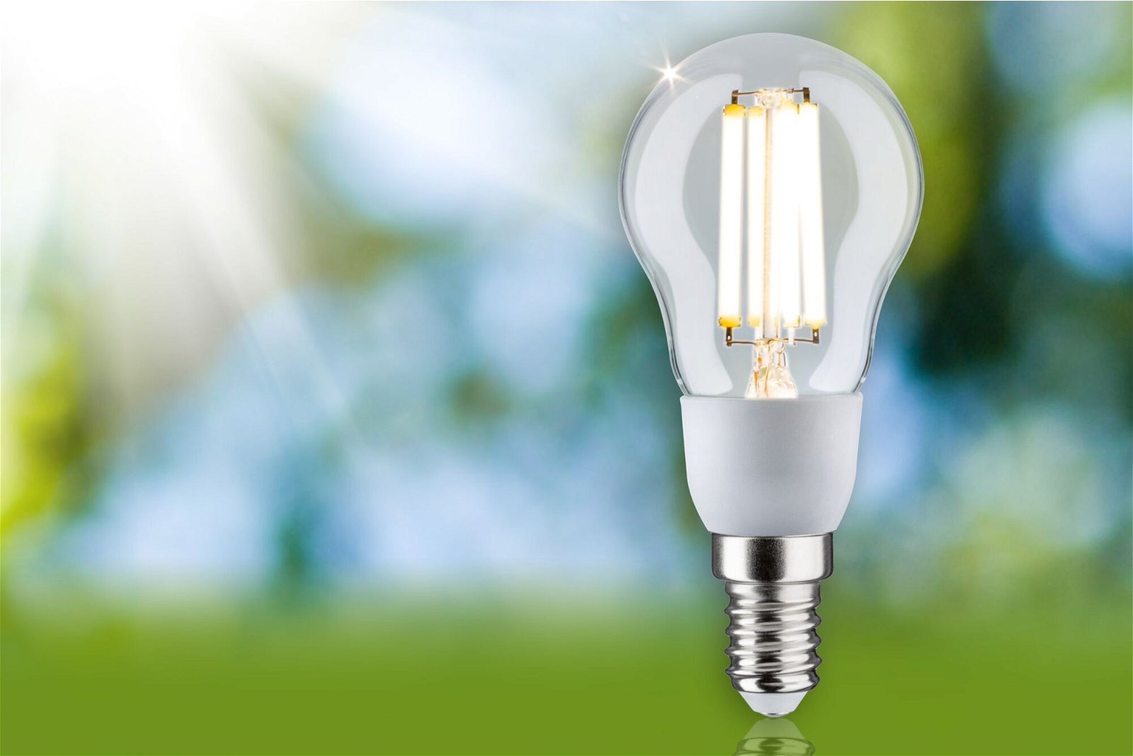 P 29130 Eco-Line Filament 230V LED kapka E14 1ks-sada 100mm 2,5W 3000K čirá - PAULMANN (obrázek 3)