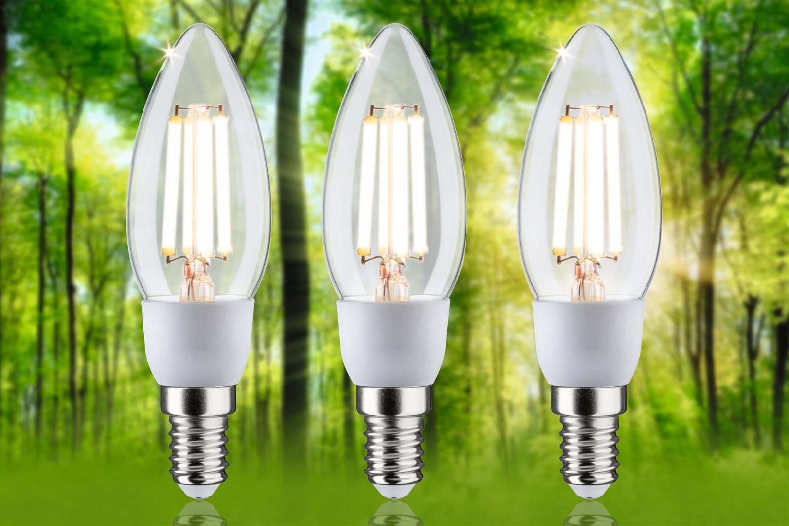P 29133 Eco-Line Filament 230V LED svíčka E14 3x2,5W 3000K čirá - PAULMANN (obrázek 2)