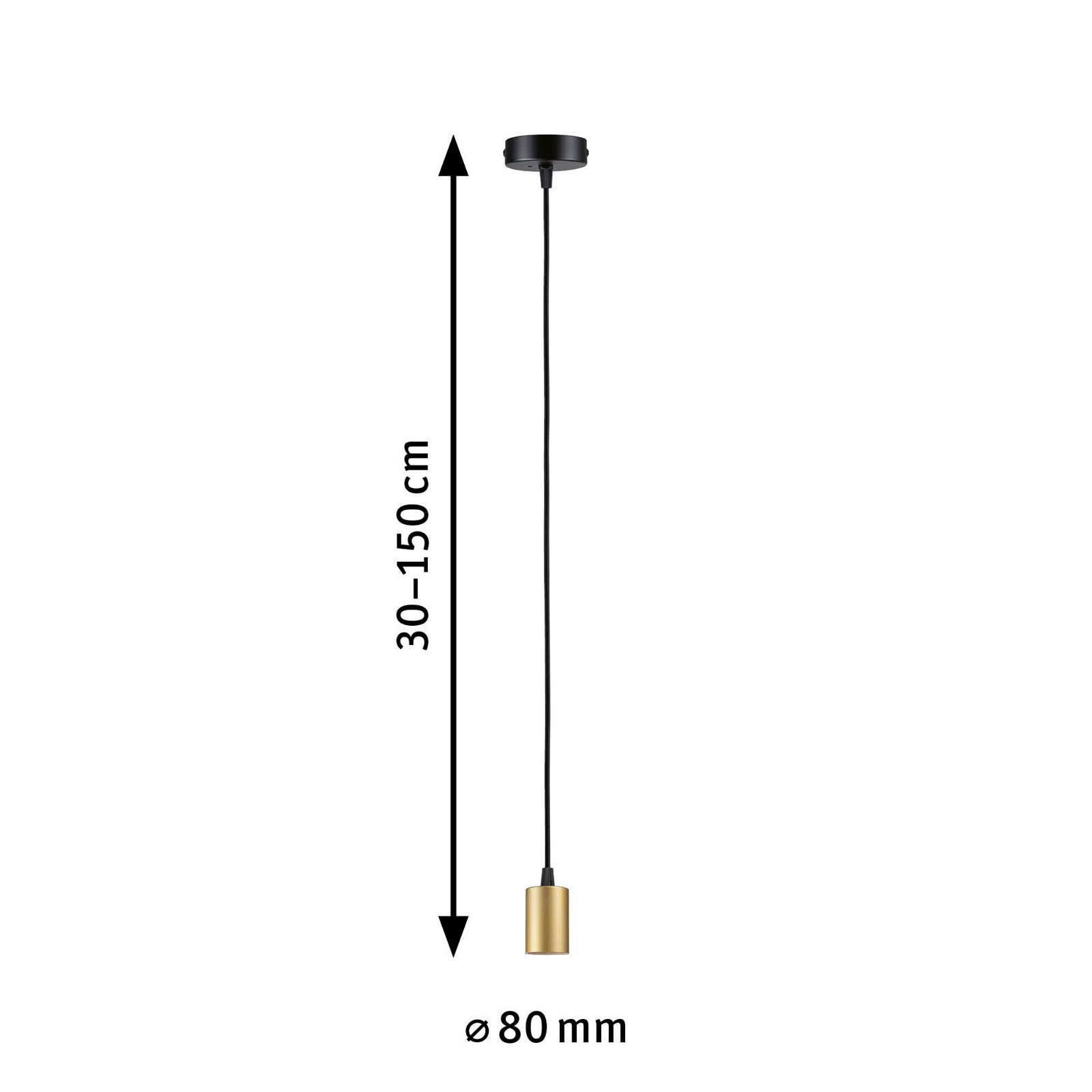P 71134 Závěsné svítidlo Ravi IP44 E27 max. 60W černá mat/zlatá - PAULMANN (obrázek 3)