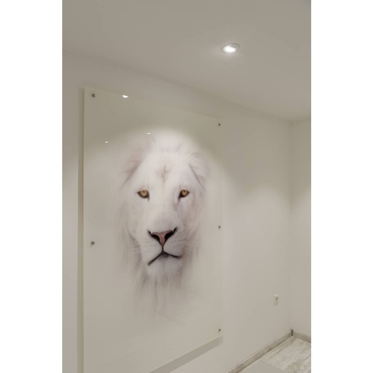 LA 1007432 NEW TRIA® UNIVERSAL LED Modul, 2500/3000/4000K, 60°, fáze, černá - BIG WHITE (SLV) (obrázek 8)