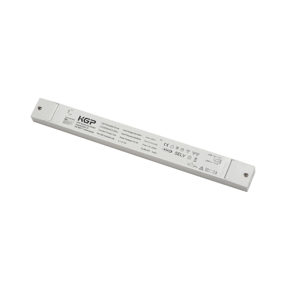 LA 1007257 LED síťový zdroj 250 W 24 V bílý DALI - BIG WHITE (SLV)