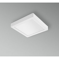 Obrázek pro produkt LED stropní a nástěnné svítidlo PL-QUADRO 220x220X38mm 18W 3000K 120d IP20  - CENTURY