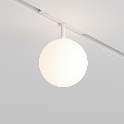 Obrázek pro produkt Svítidlo pro kolejnicový systém Luna 4000K 5W 330lm bílá sklo Exility - MAYTONI