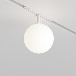 Obrázek pro produkt Svítidlo pro kolejnicový systém Luna 5W nastavitelná bílá 340lm bílé sklo stmívatelné Bluetooth Exility - MAYTONI