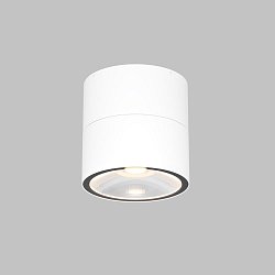 Obrázek pro produkt Stropní svítidlo Spin 3000K 12W 1050lm bílá kov/sklo IP54 teplá bílá - MAYTONI