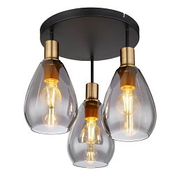 Obrázek pro produkt FANNI 15563-3D Stropní svítidlo - GLOBO