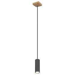 Obrázek pro produkt ROBBY 57911HG Závěsné svítidlo - GLOBO