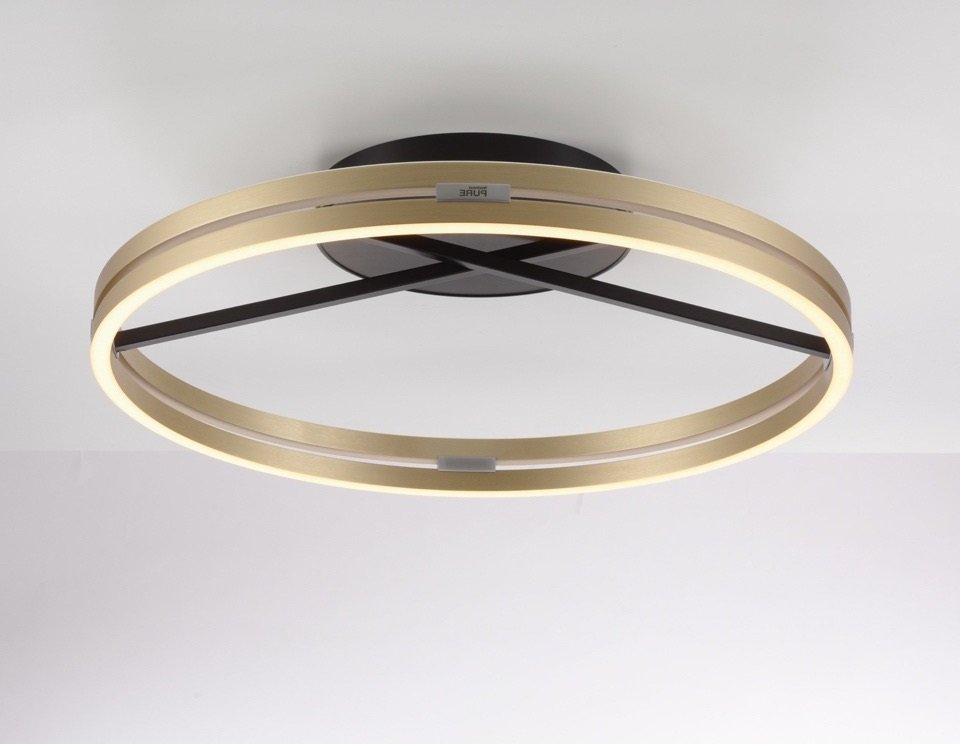 PN 6552-68 Stropní svítidlo PURE Loop LED 7W 2700-5000K + LED 30W 2700-5000K černá/zlatá slonová kost - PAUL NEUHAUS