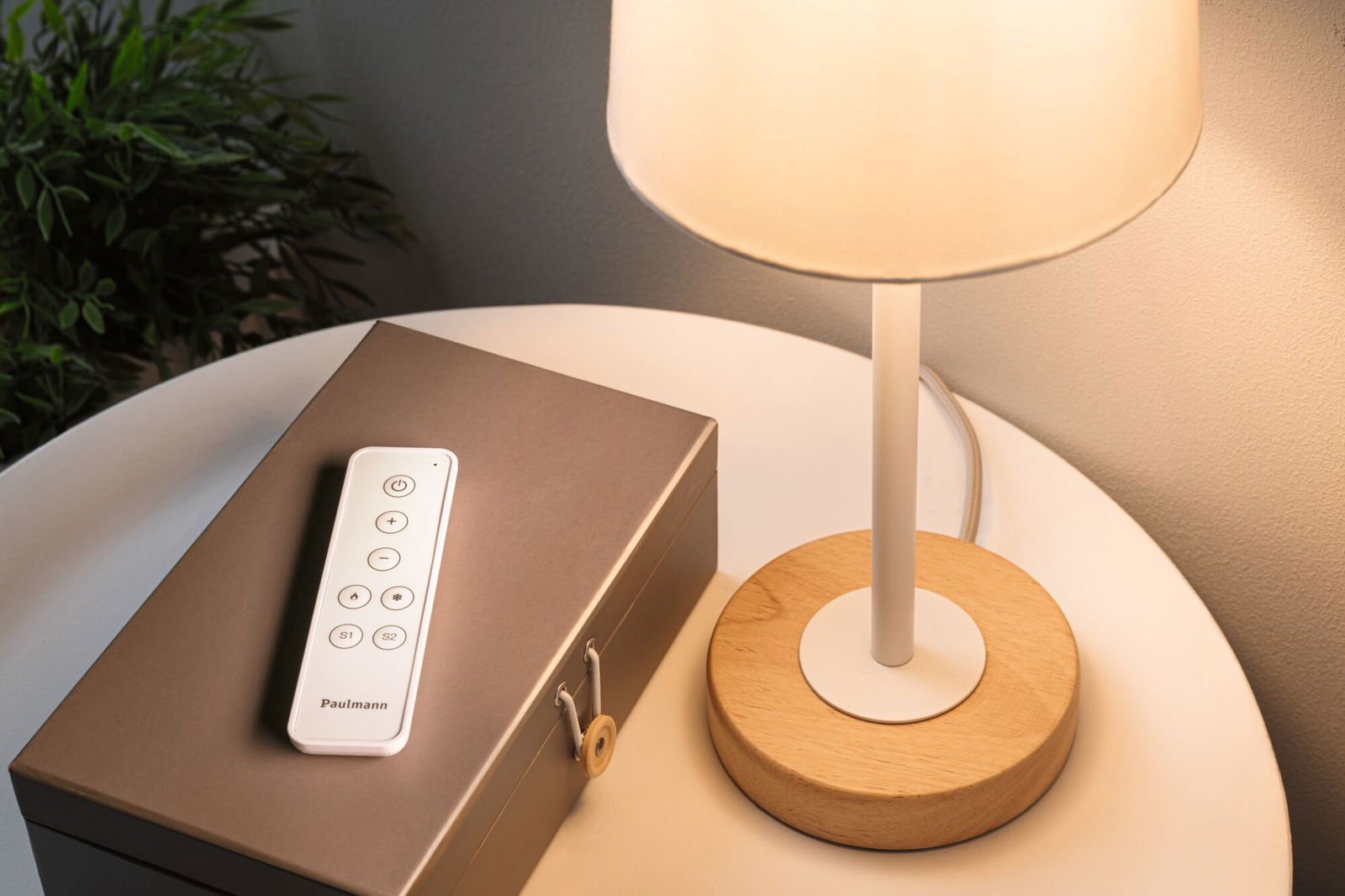 P 50141 Dálkový ovladač Smart Home Zigbee 3.0 bílá - PAULMANN (obrázek 4)