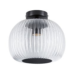 Obrázek pro produkt LED stropní svítidlo Ruya IP44 E27 230V max. 60W sklo/černá mat - PAULMANN