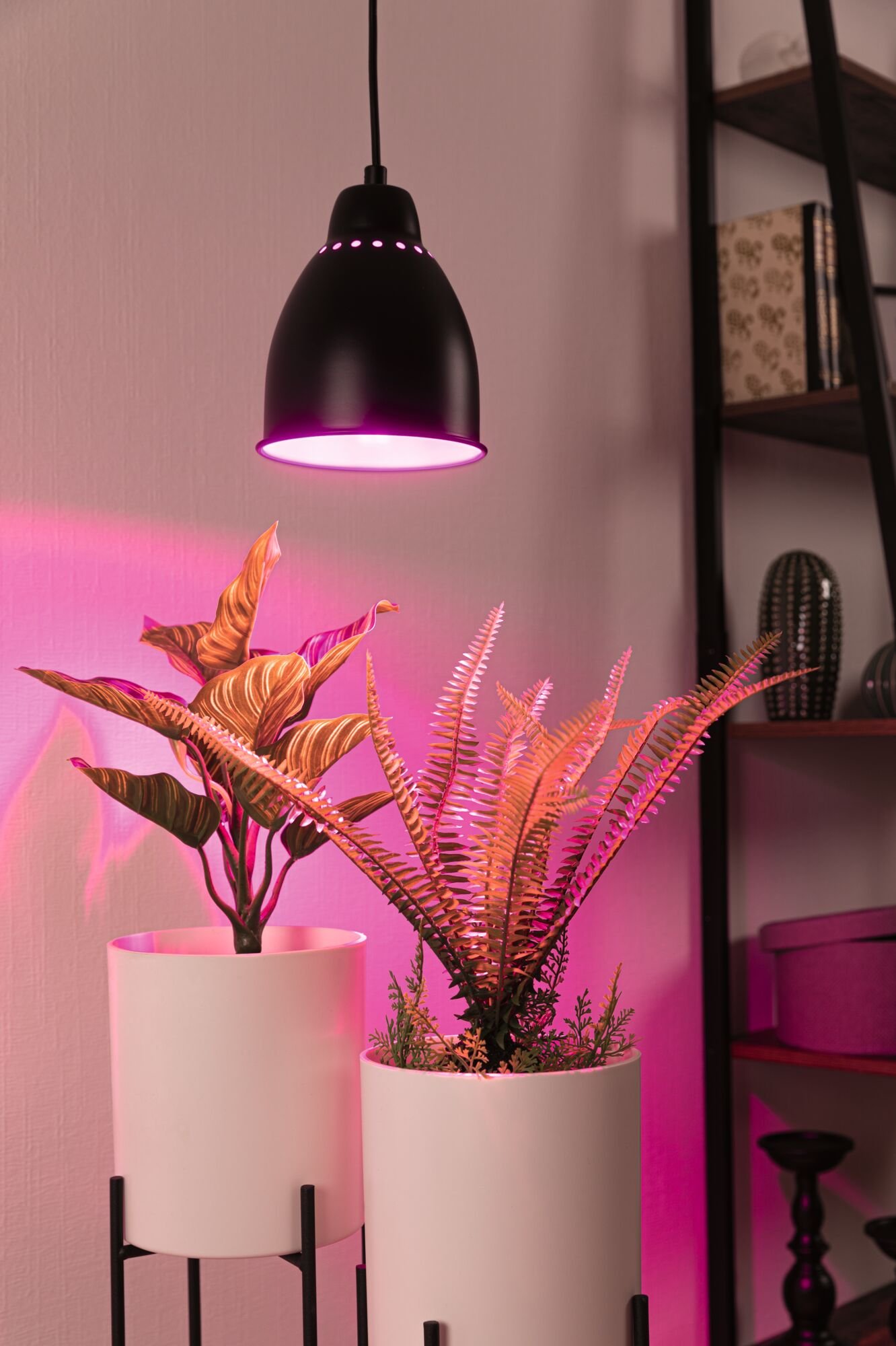 P 5116 Neordic set závěsné svítidlo Hilla + LED reflektor E27 černá stmívatelné kov / 230V 6,5W 1300K - PAULMANN (obrázek 3)