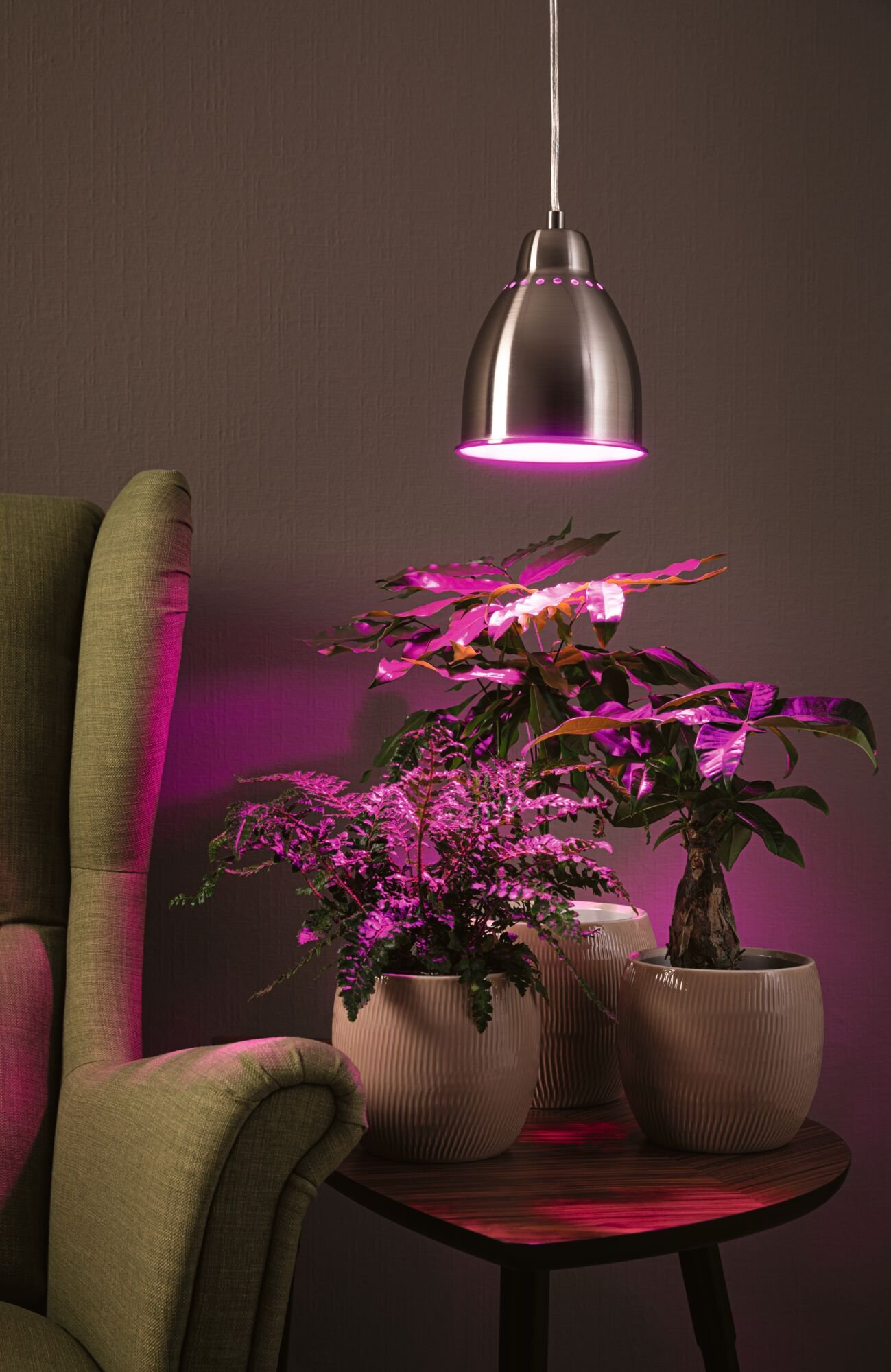 P 5118 Neordic set závěsné svítidlo Hilla + LED reflektor E27 kov kartáčovaný stmívatelné kov / 230V 6,5W 1300K - PAULMANN (obrázek 3)