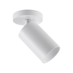Obrázek pro produkt Deko-Light stropní přisazené svítidlo Can Tilt kulaté, 1x 7,5 W GU10, bílá - DEKOLIGHT