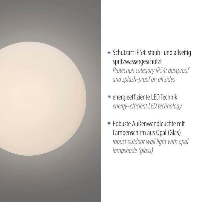 PN 9468-15 OLAF LED venkovní nástěnné a stropní svítidlo šedá 3000K - PAUL NEUHAUS (obrázek 3)