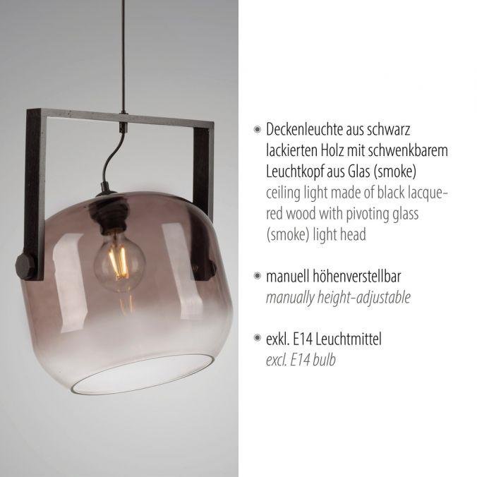 LD 15757-18 CUP 2.0 závěsné svítidlo černé 1 ramenné dřevo kouřové sklo nastavitelná výška - JUST LIGHT (obrázek 3)