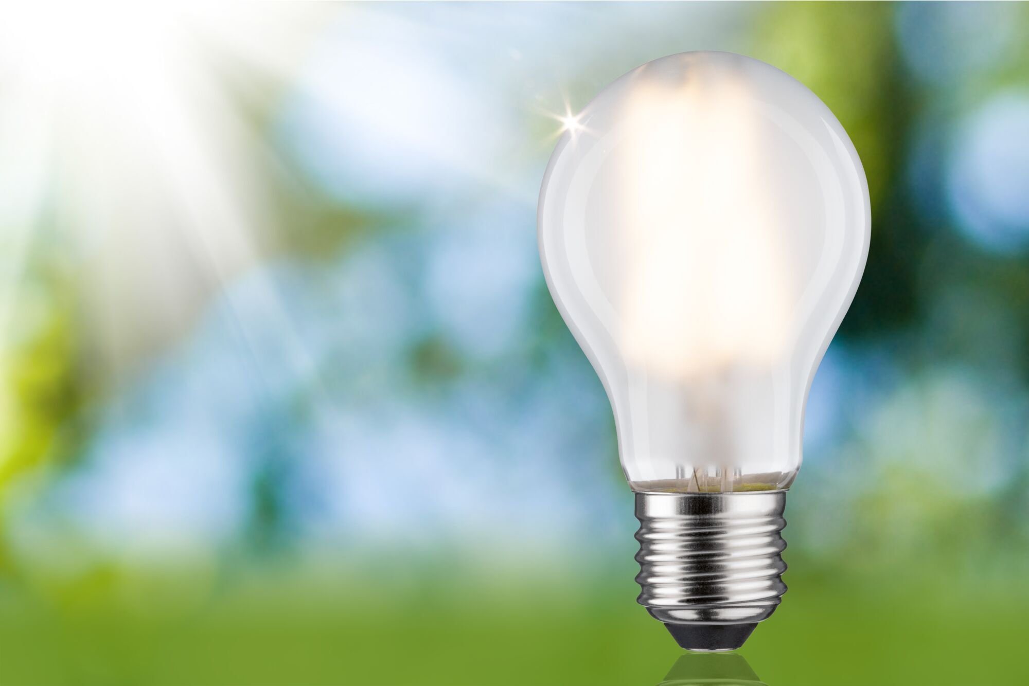 P 29223 Eco-Line Filament 230V LED žárovka E27 2,5W 3000K mat - PAULMANN (obrázek 3)