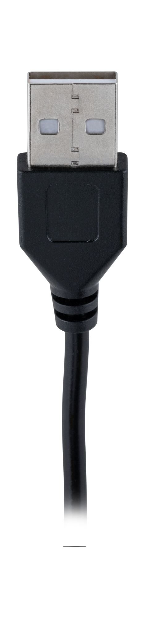 P 79555 EntertainLED LED hadice Black Neon 1,5m 3W 84 LEDs/m RGB+ - PAULMANN (obrázek 8)