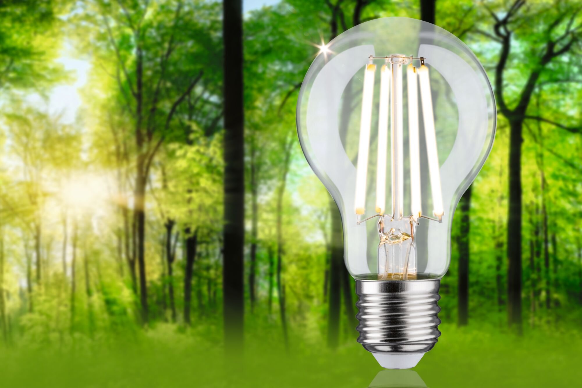 P 29229 Eco-Line Filament 230V LED žárovka E27 4,5W 3000K stmívatelné čirá - PAULMANN (obrázek 3)