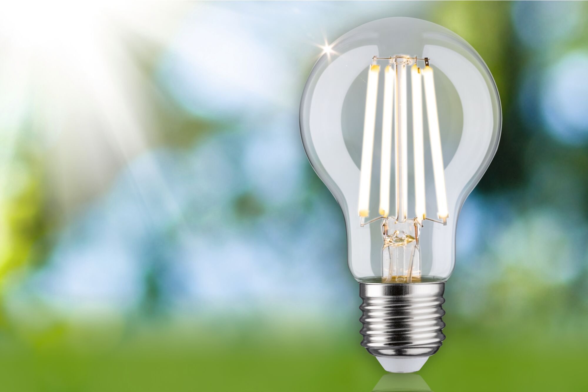 P 29229 Eco-Line Filament 230V LED žárovka E27 4,5W 3000K stmívatelné čirá - PAULMANN (obrázek 4)