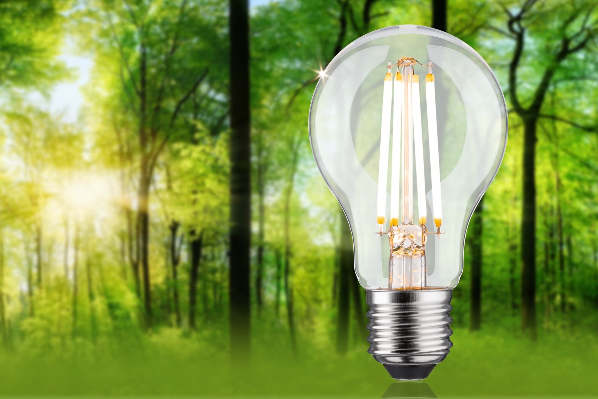 P 29251 Eco-Line Filament 230V LED žárovka E27 4,3W 3000K stmívatelné čirá - PAULMANN (obrázek 3)