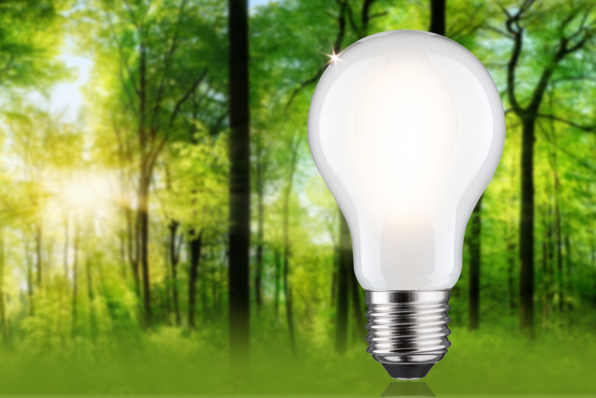 P 29258 Eco-Line Filament 230V LED žárovka E27 8,2W 3000K stmívatelné mat - PAULMANN (obrázek 3)