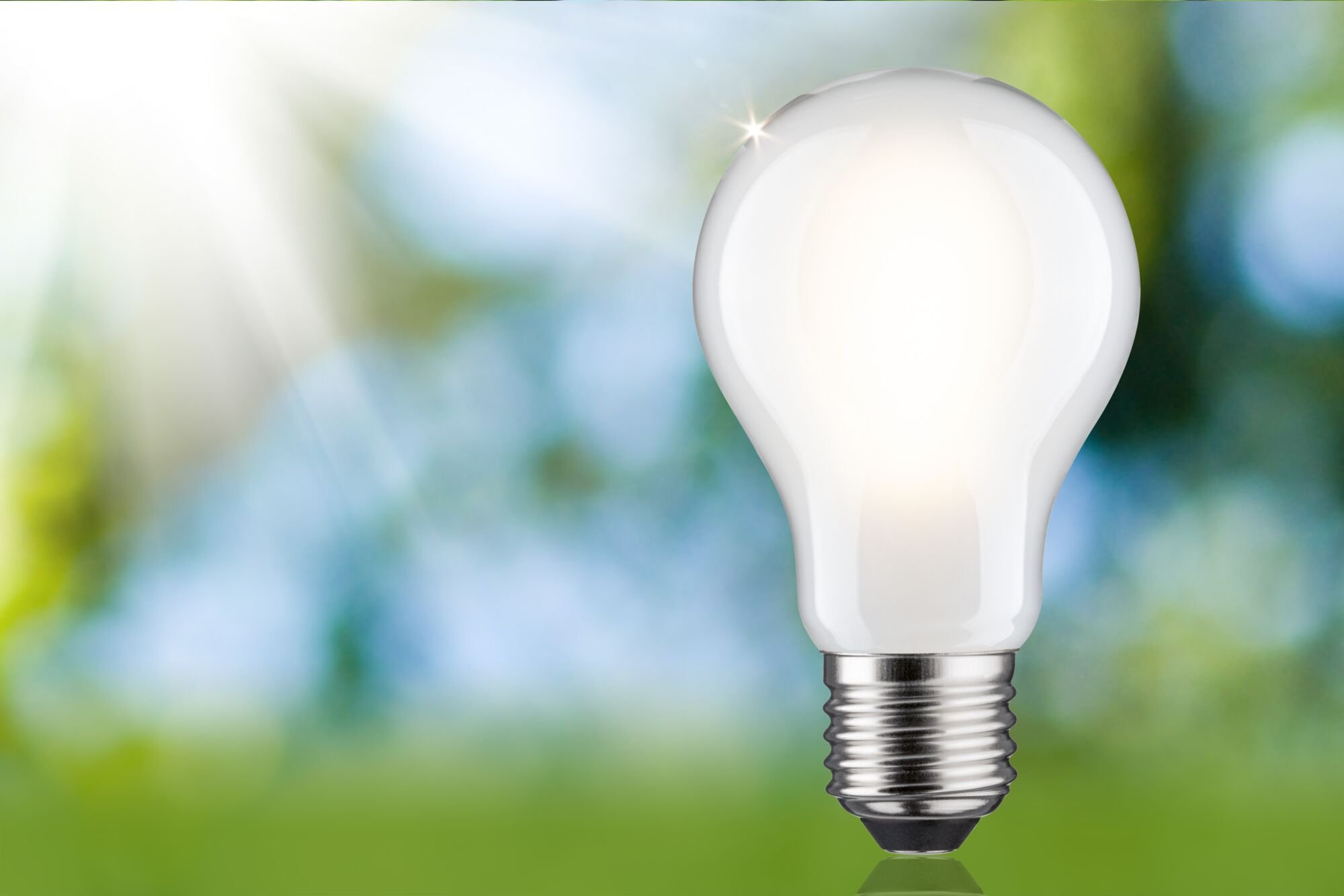 P 29258 Eco-Line Filament 230V LED žárovka E27 8,2W 3000K stmívatelné mat - PAULMANN (obrázek 4)