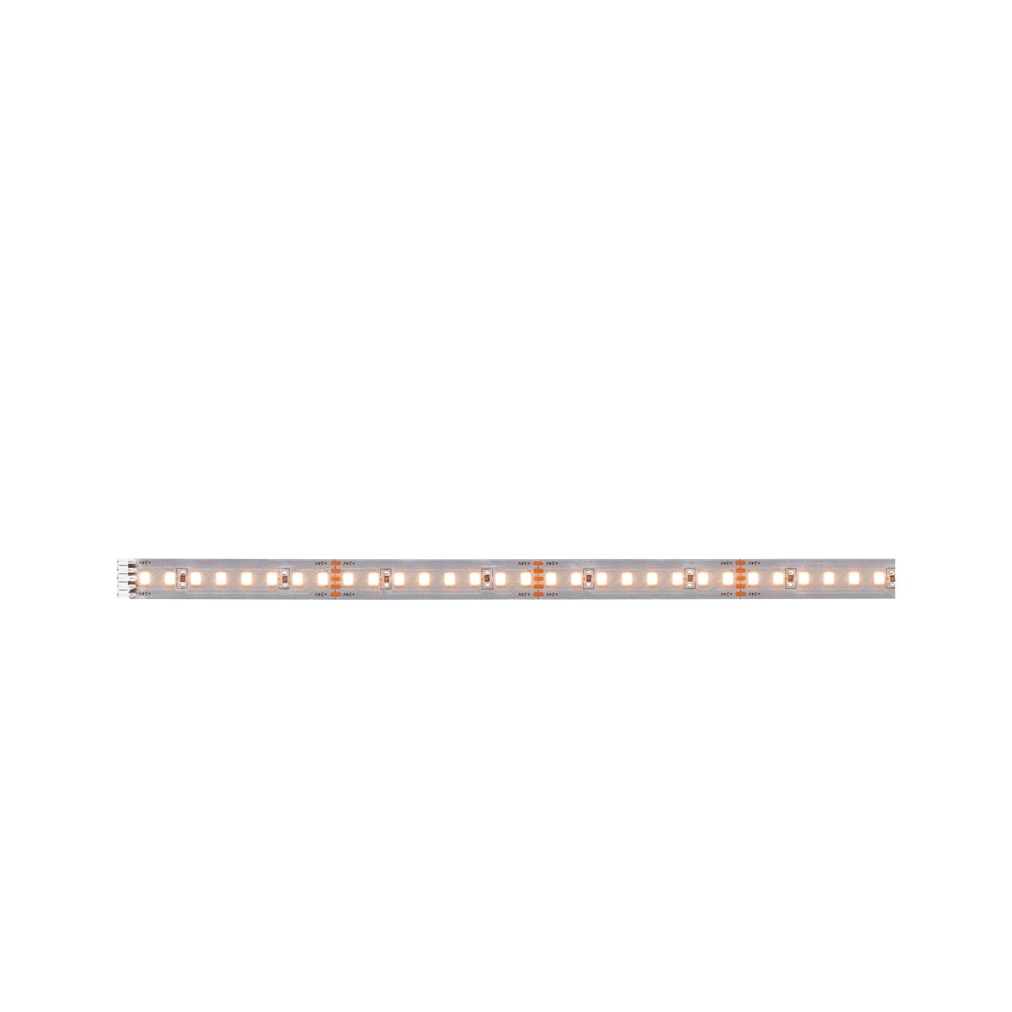 P 71245 MaxLED 1000 LED Strip teplá bílá pouze pásek 1m 7,2W 1100lm/m 128 LEDs/m 2700K - PAULMANN