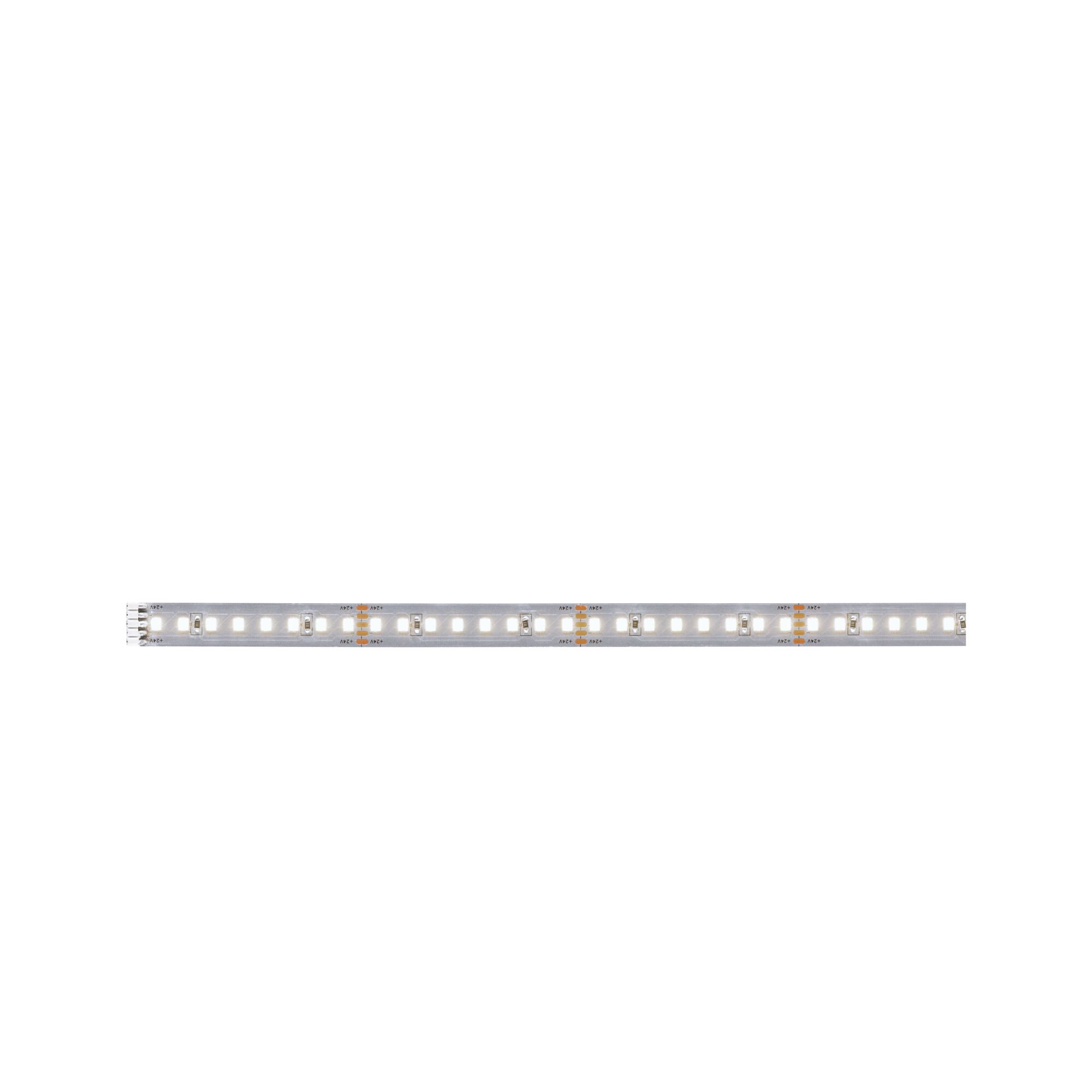 P 71250 MaxLED 1000 LED Strip neutrální bílá pouze pásek 1m 7,2W 1100lm/m 128 LEDs/m 4000K - PAULMANN