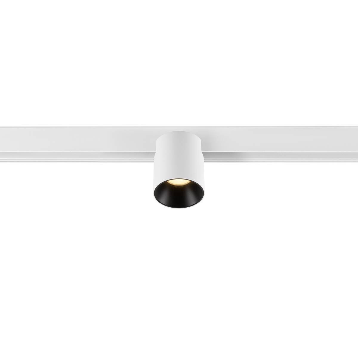 LA 1008965 FIX-IT! 48V, DALI, kulatý, povrchová montáž, spot, 2000-3000K, 7,4 W, 36°, bílá / černá - BIG WHITE (SLV)