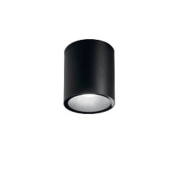 Obrázek pro produkt Venkovní stropní svítidlo Citizen, černé, 1 x E27, IP54, 14,5 x 17 cm - FANEUROPE