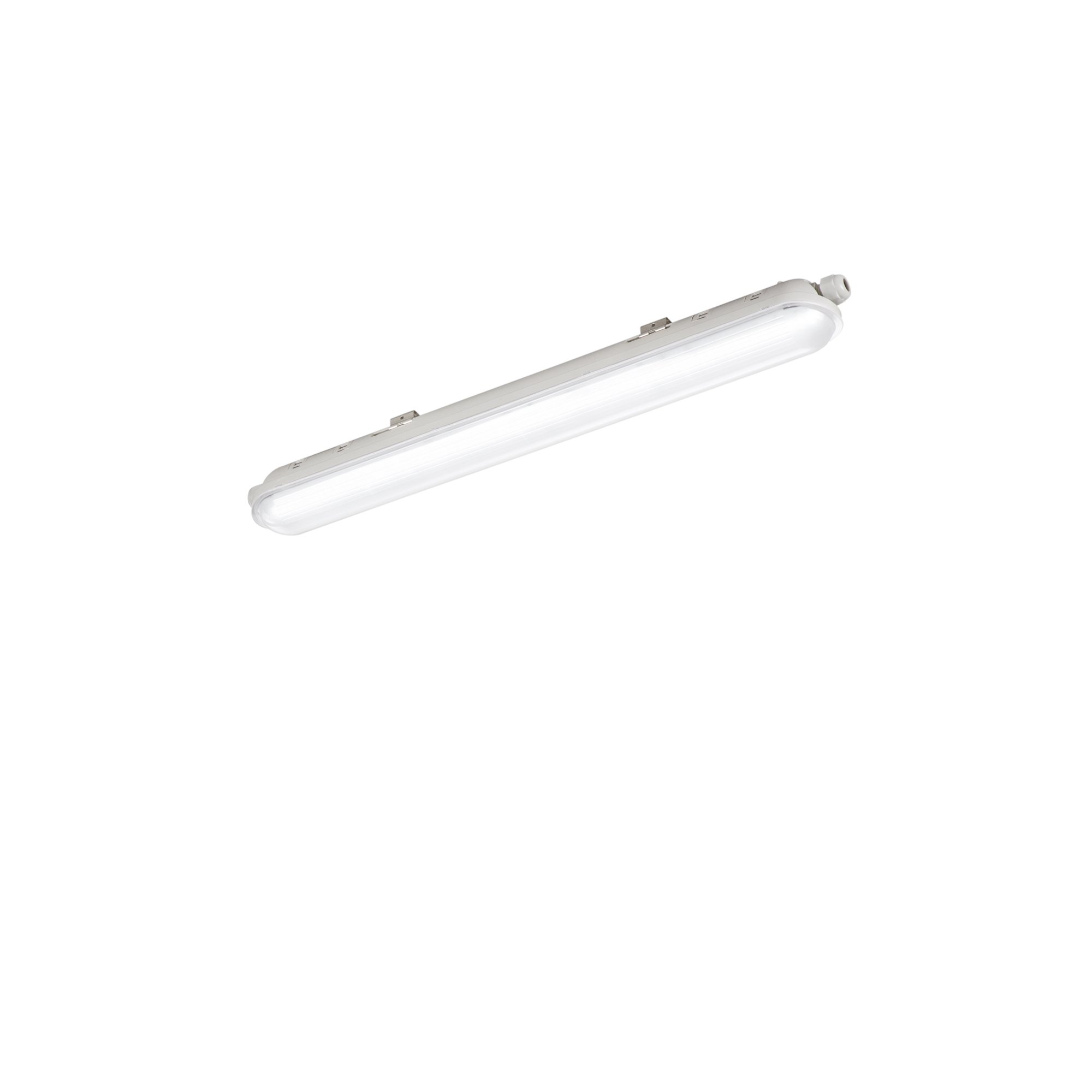 FAN LED-NAUTILUS-60 Prachotěsné stropní svítidlo LED NAUTILUS stříbrná polykarbonát 21 W 2900 lm 4000 K IP65 7,2 x 59 x 6,1 cm - FANEUROPE