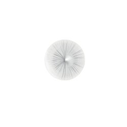 Obrázek pro produkt LED stropní svítidlo Agora, bílé/stříbrné, 18 W, 1815 lm, CCT, 30 x 6 cm - FANEUROPE
