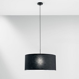 Obrázek pro produkt Závěsné svítidlo Capital, černé, 1xE27, 53 x 150 cm - FANEUROPE