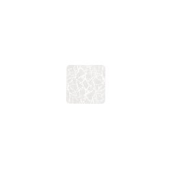 Obrázek pro produkt Stropní svítidlo Growler bílý PMMA, 16 W, CCT 3000/4000/6500 K, 27 x 27 x 5,5 cm - FANEUROPE
