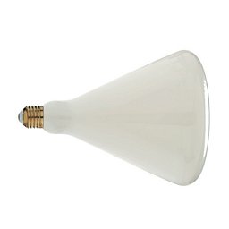 Obrázek pro produkt Dekorativní LED žárovka LUXA LB160 bílá E27 8W 730LM 4000K 300° 160x215MM 15000h CRI80 - FANEUROPE