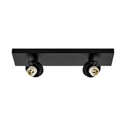Obrázek pro produkt Deko-Light stropní přisazené svítidlo Can Tilt hranatá základna, 2x 7,5 W GU10, černá - DEKOLIGHT