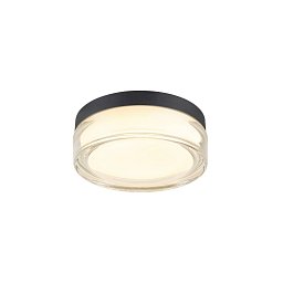 Obrázek pro produkt CYFT XL Přisazené nástěnné a stropní svítidlo, 2700/3000/4000 K, 15 W, PHASE, 125°, IP65 černá / čirá - BIG WHITE (SLV)