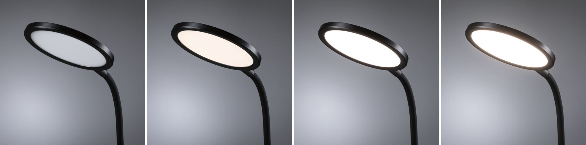 P 78017 LED stolní lampa na psací stůl Mejan 4000K 15W černá mat - PAULMANN (obrázek 8)