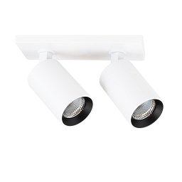 Obrázek pro produkt Vestavné stropní LED svítidlo Art 2x10 W 220-240 V 2700 K stmívatelné 36° Ra90 bílé - TLG